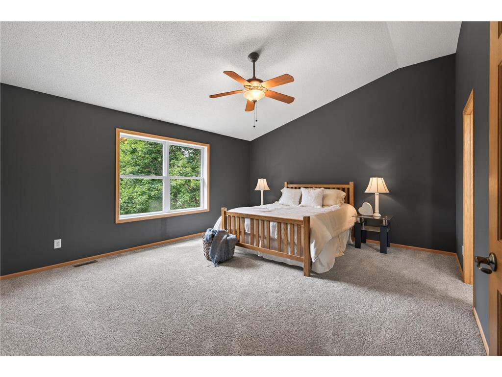 14209 Bayberry Trail Rosemount MN 55068 7084212 image19