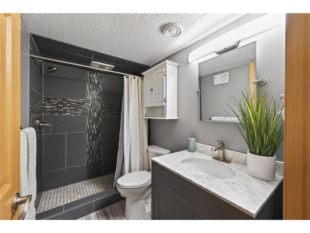 14209 Bayberry Trail Rosemount MN 55068 7084212 image31