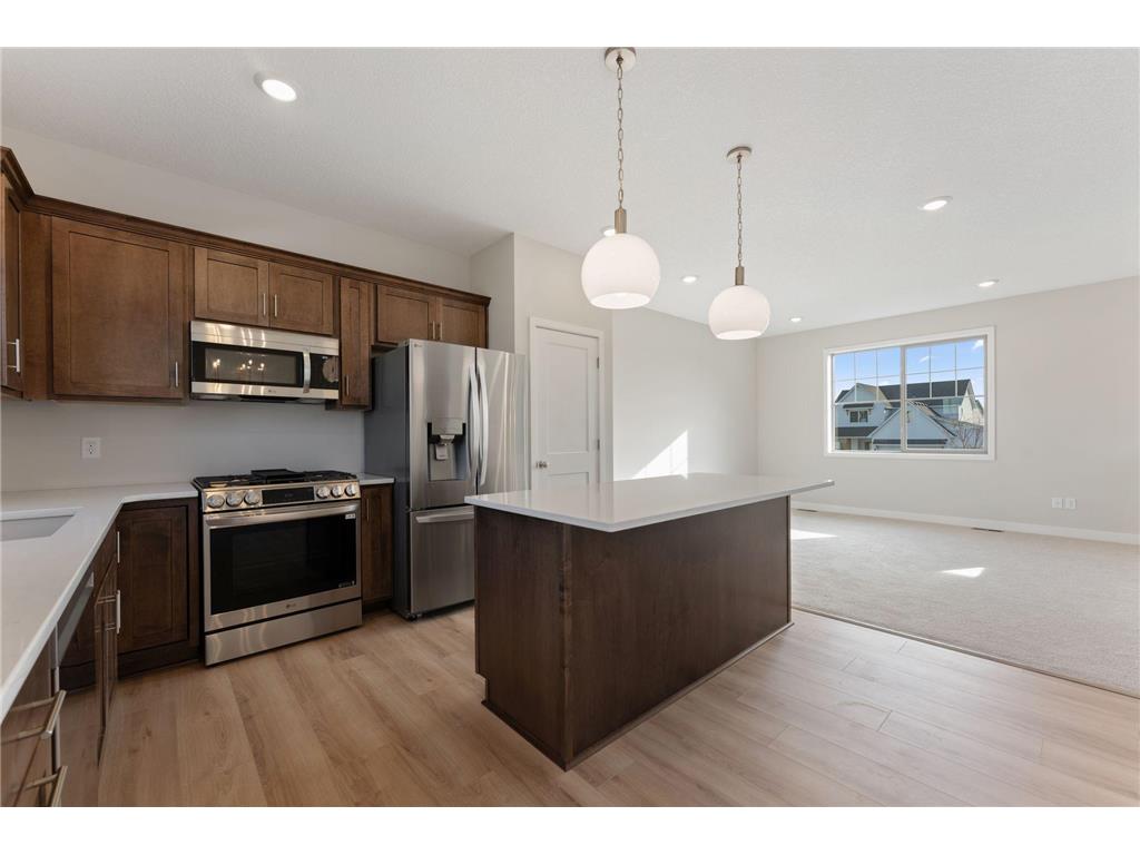 1421 142nd Court E Rosemount MN 55068 6811081 image13