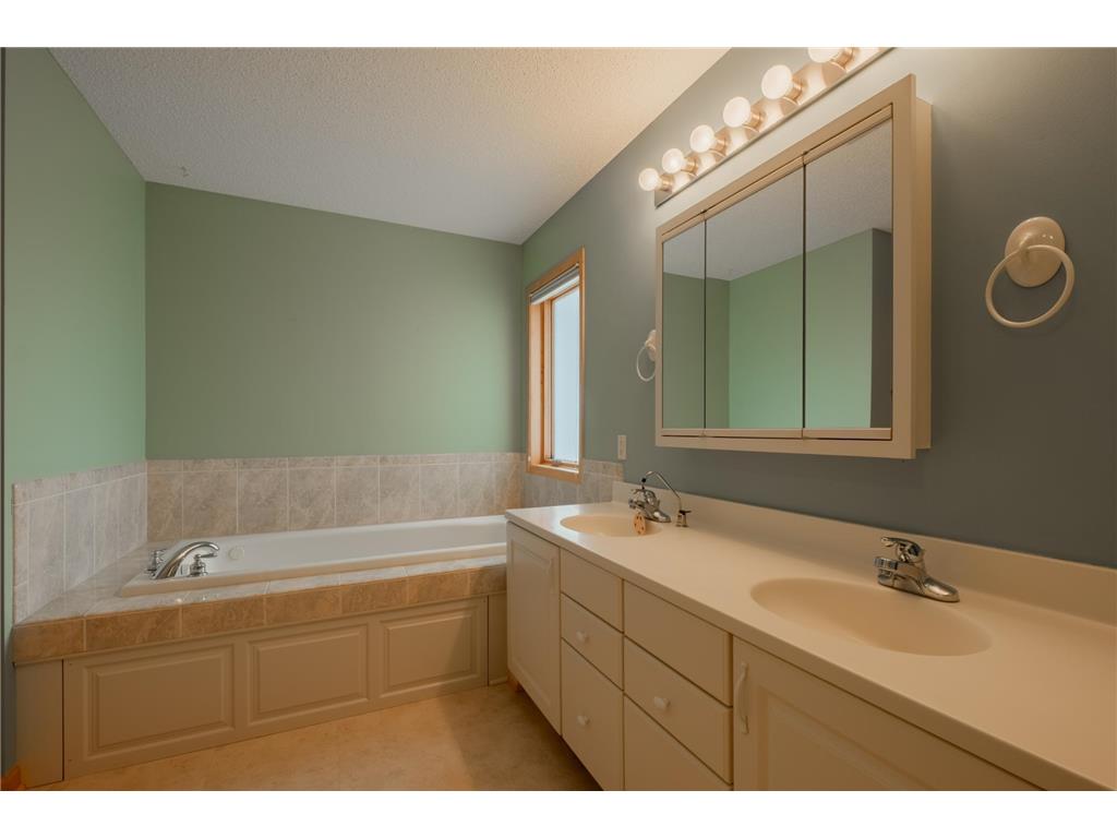 1421 Blue Flag Court Northfield MN 55057 7010067 image22