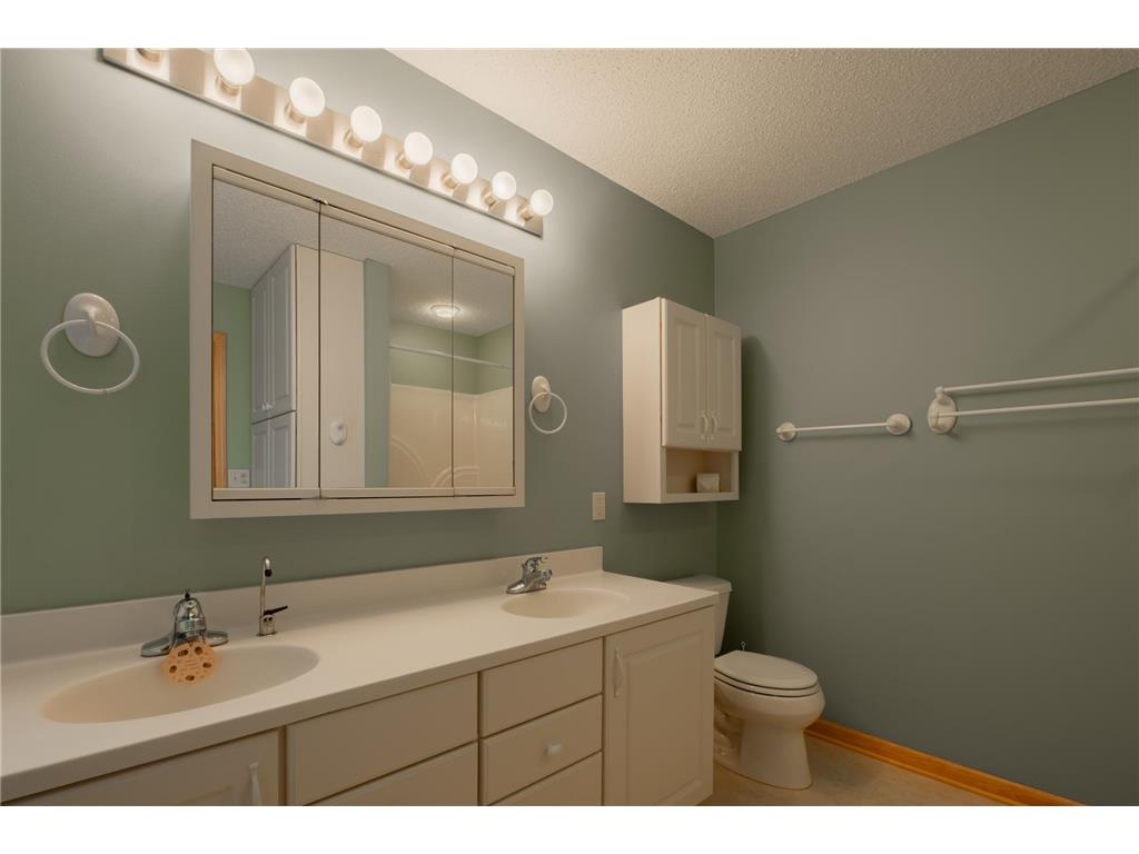 1421 Blue Flag Court Northfield MN 55057 7010067 image23