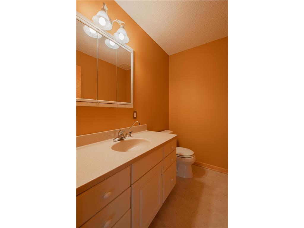 1421 Blue Flag Court Northfield MN 55057 7010067 image25