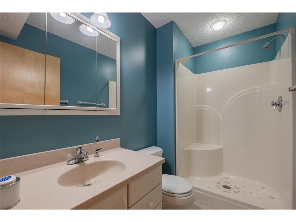 1421 Blue Flag Court Northfield MN 55057 7010067 image33