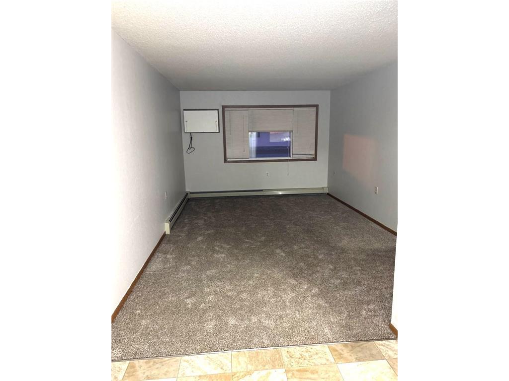 1421 Lake Avenue NW #410 Willmar MN 56201 7057599 image4