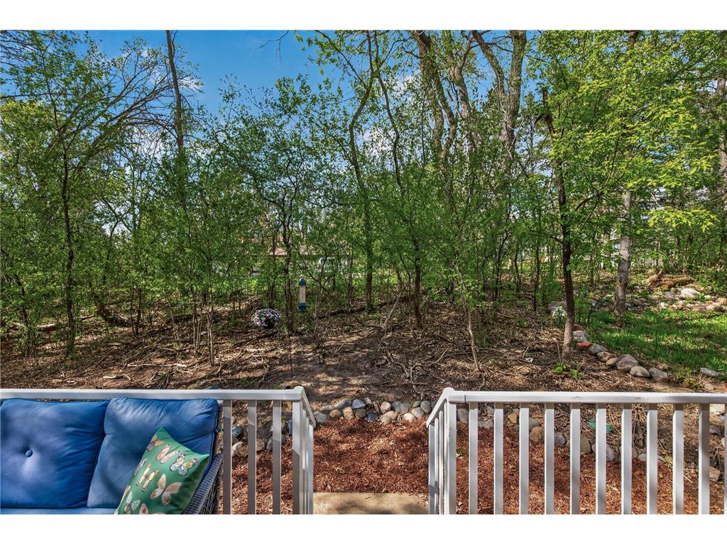 14213 Hibiscus Court Apple Valley MN 55124 7052292 image26