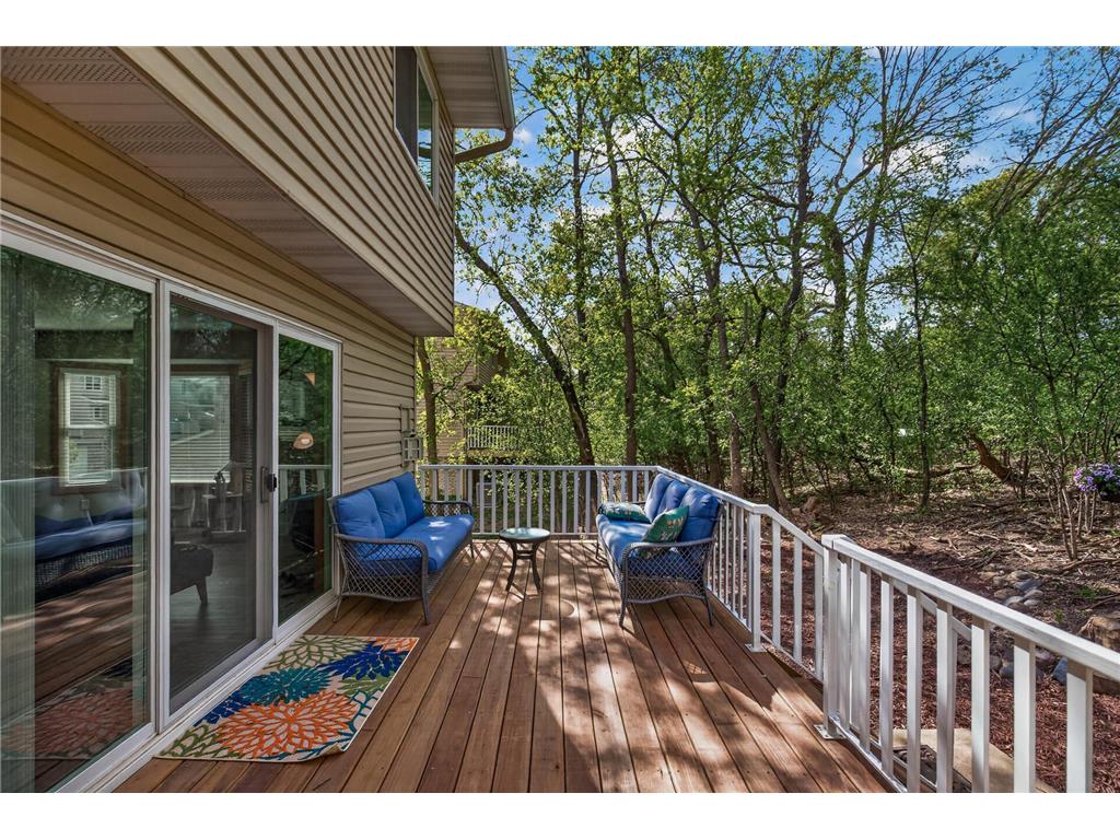 14213 Hibiscus Court Apple Valley MN 55124 7052292 image27