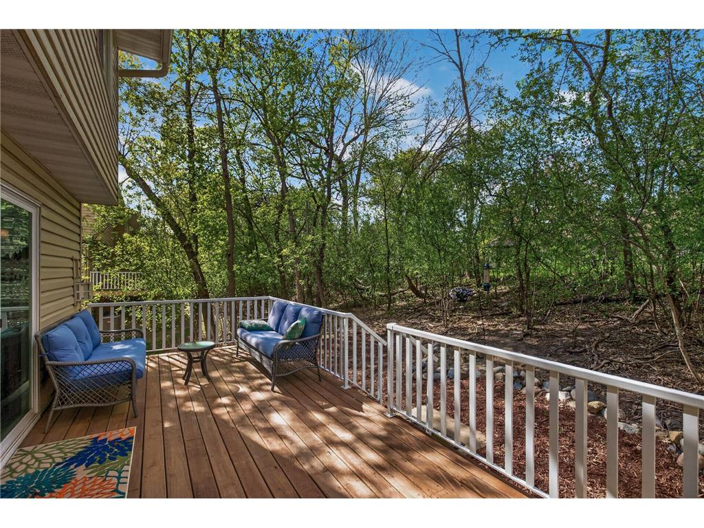 14213 Hibiscus Court Apple Valley MN 55124 7052292 image28