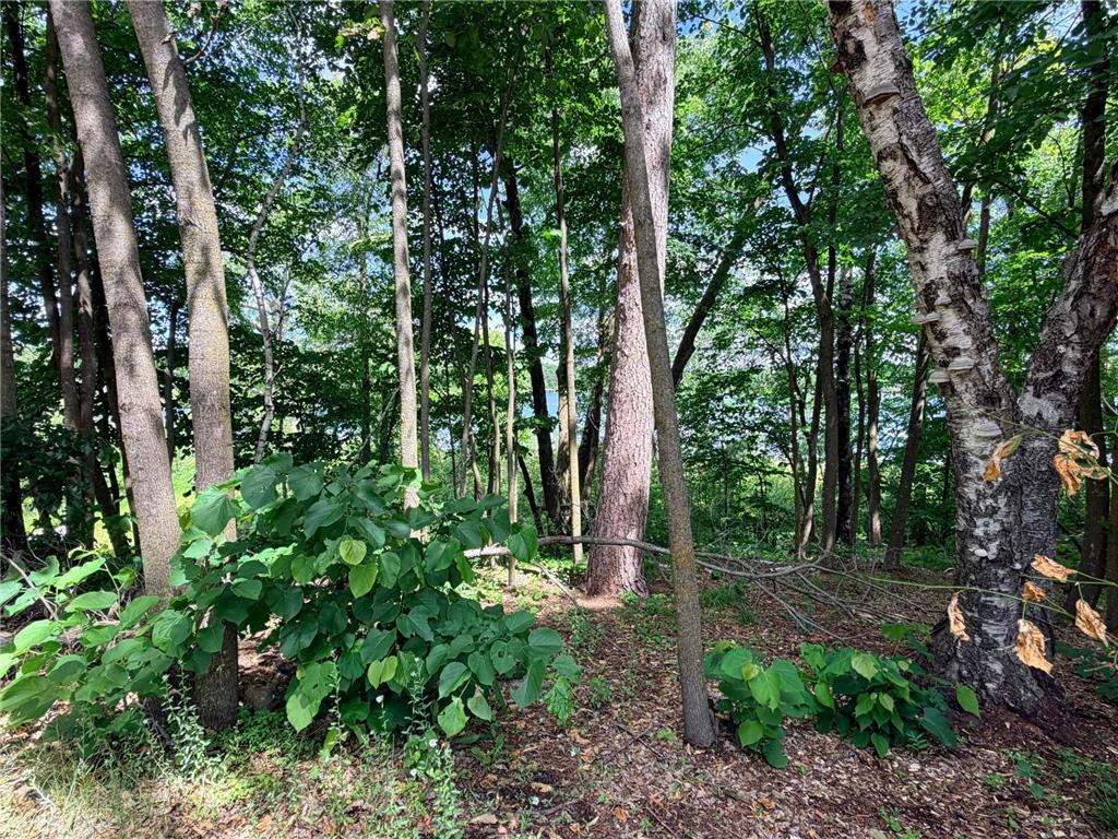 14220 Stocking Lake Road Menahga MN 56464 - Stocking Lake 7096001 image10