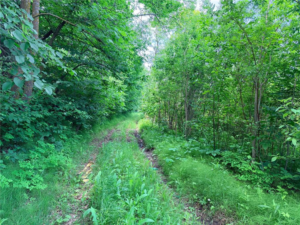 14220 Stocking Lake Road Menahga MN 56464 - Stocking Lake 7096001 image7