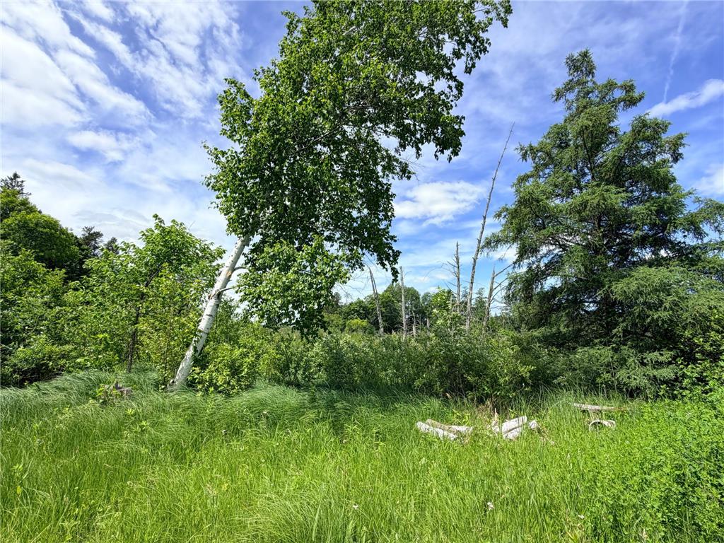 14220 Stocking Lake Road Menahga MN 56464 - Stocking Lake 7096001 image8
