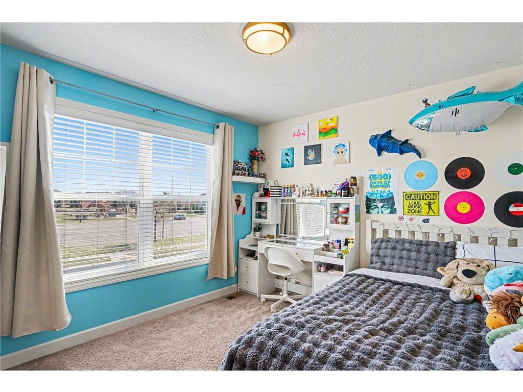 14221 Ailesbury Avenue Rosemount MN 55068 7055607 image22