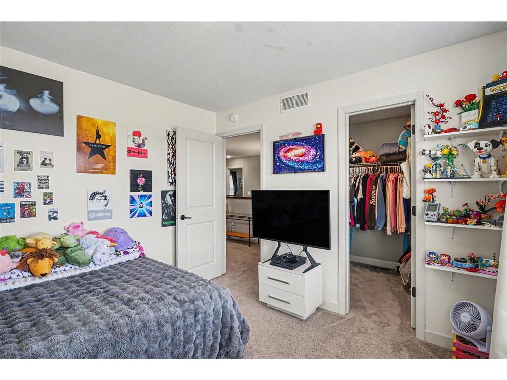 14221 Ailesbury Avenue Rosemount MN 55068 7055607 image23