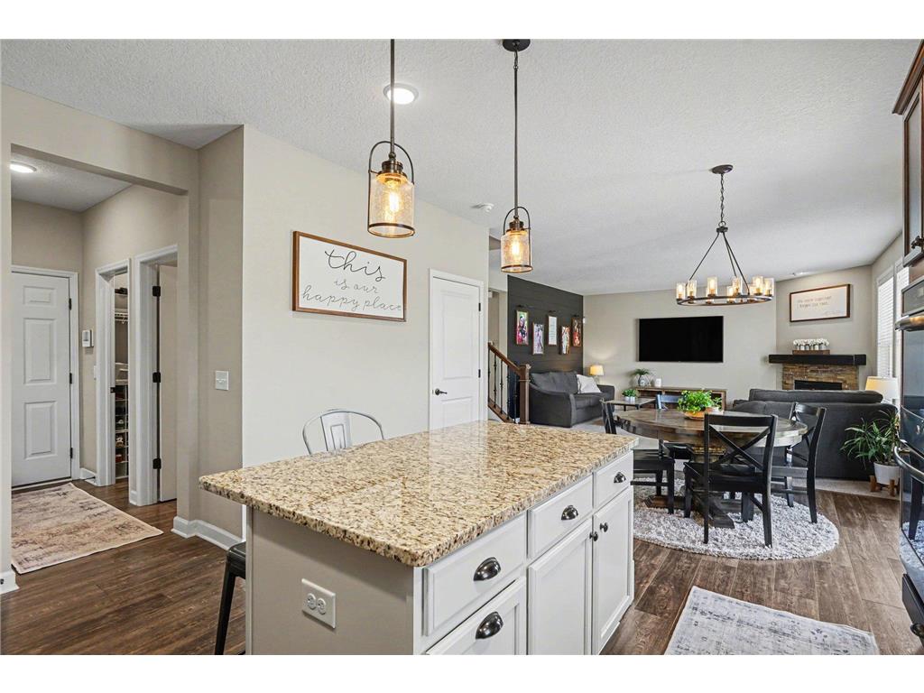 14221 Ailesbury Avenue Rosemount MN 55068 7055607 image6