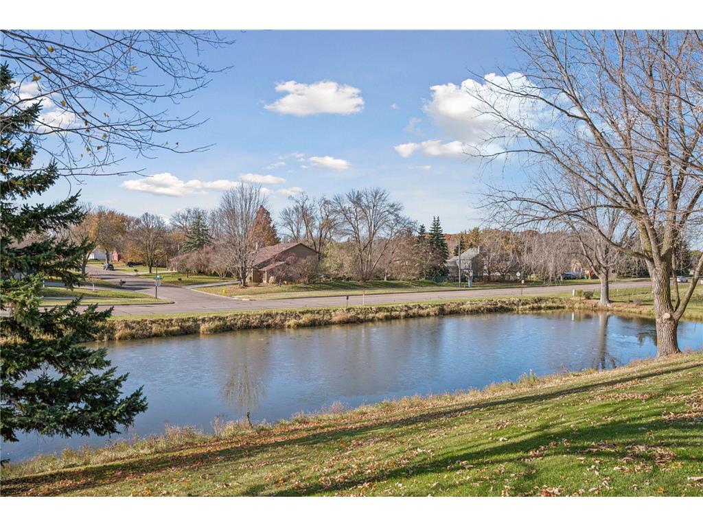 14230 44th Place N #2 Plymouth MN 55446 6789156 image6