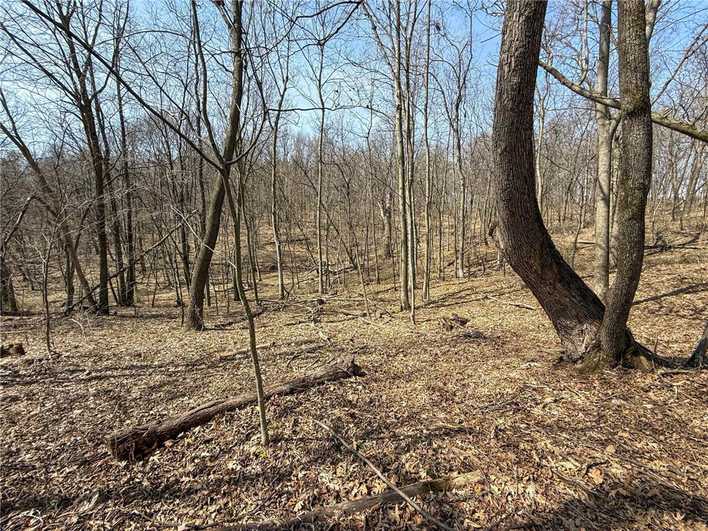 14230 Hillside Road Brownsville MN 55919 7052070 image36