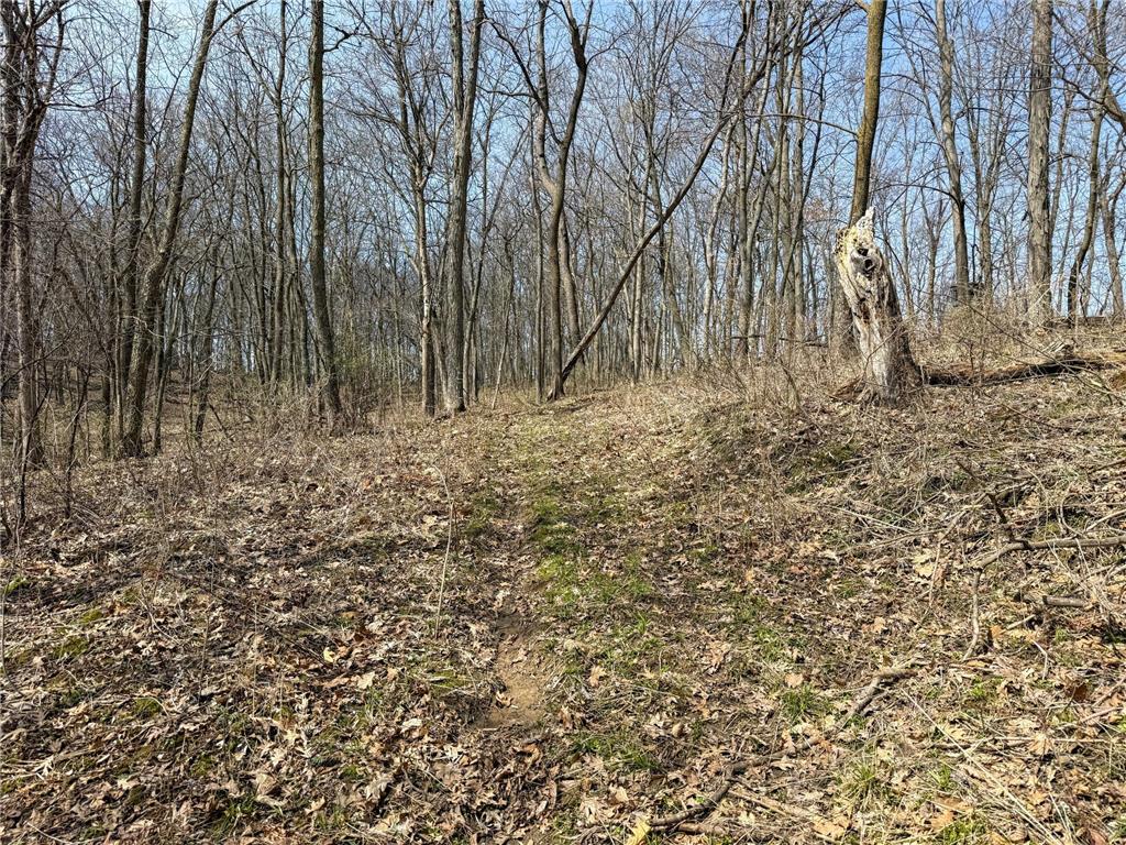 14230 Hillside Road Brownsville MN 55919 7052070 image38