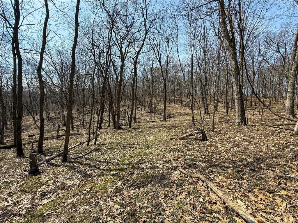 14230 Hillside Road Brownsville MN 55919 7052070 image40
