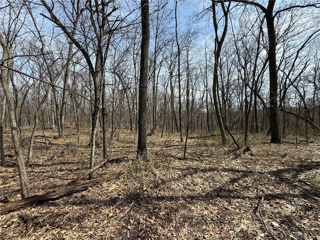 14230 Hillside Road Brownsville MN 55919 7052070 image42