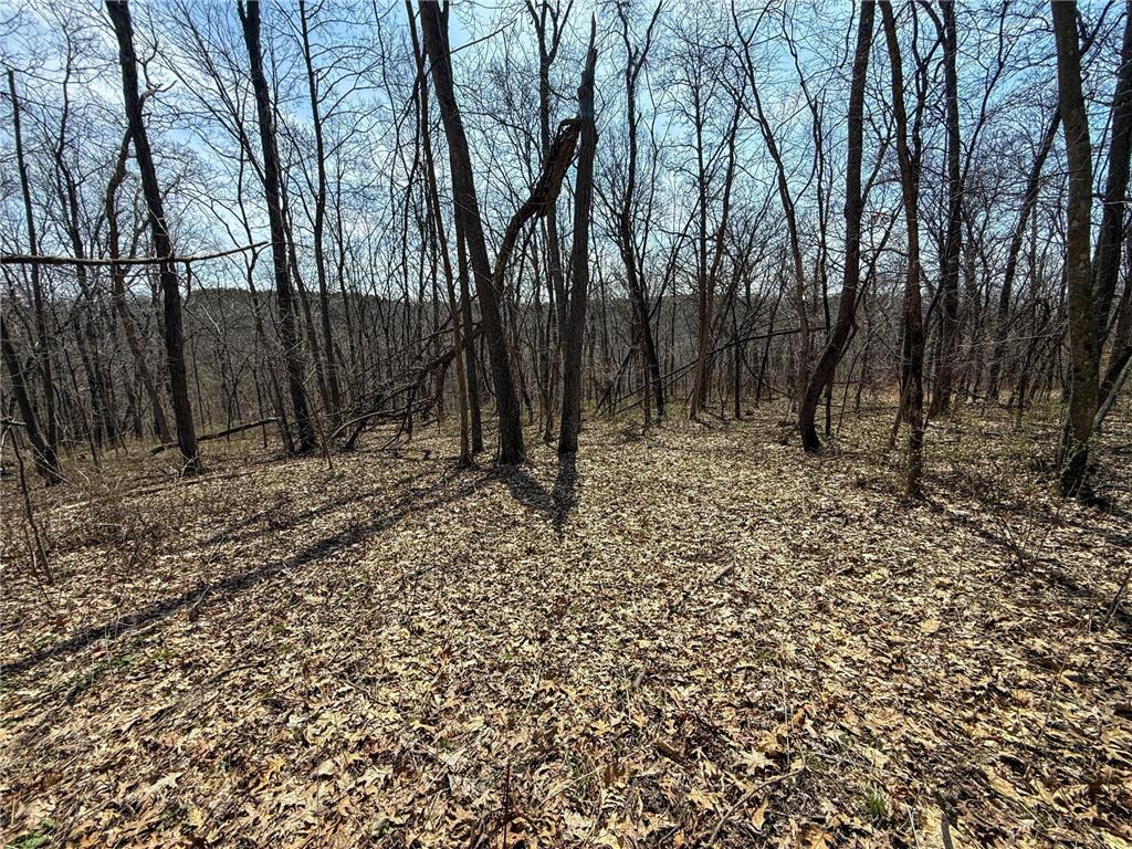 14230 Hillside Road Brownsville MN 55919 7052070 image43