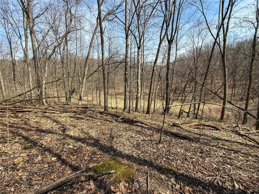 14230 Hillside Road Brownsville MN 55919 7052070 image44