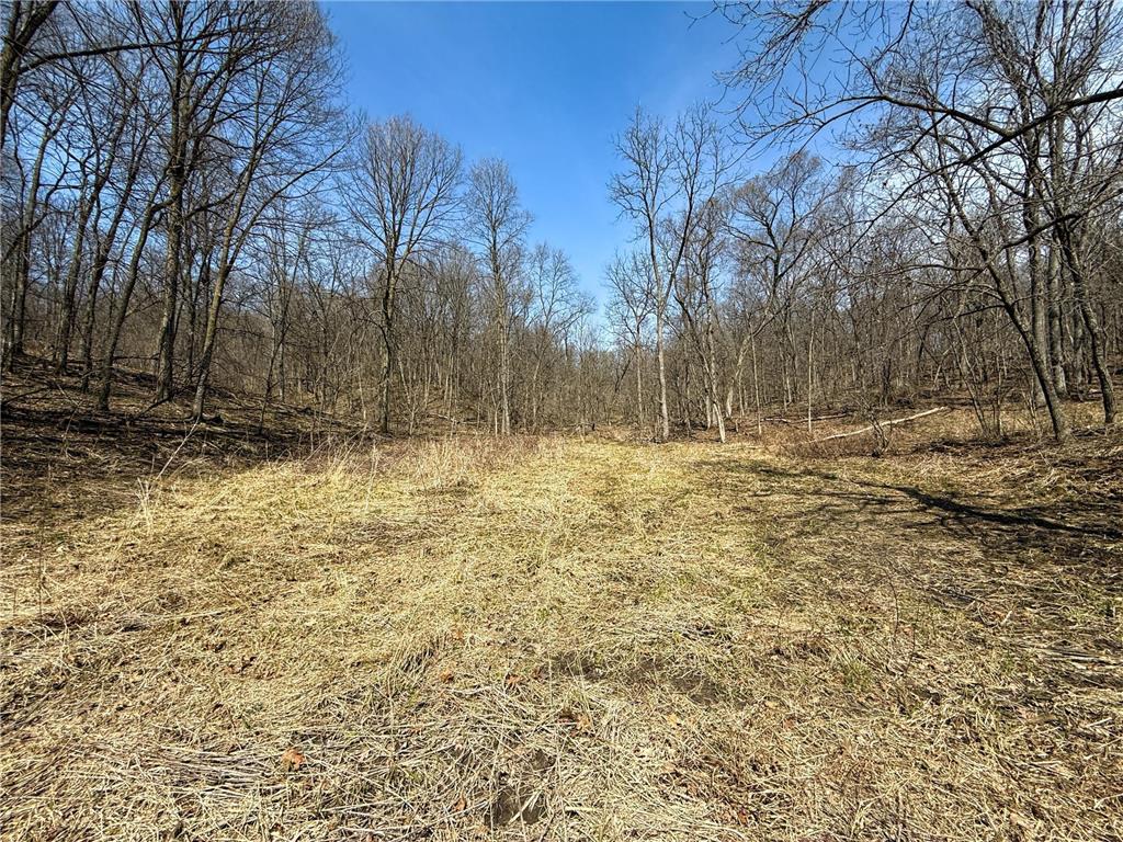 14230 Hillside Road Brownsville MN 55919 7052070 image46