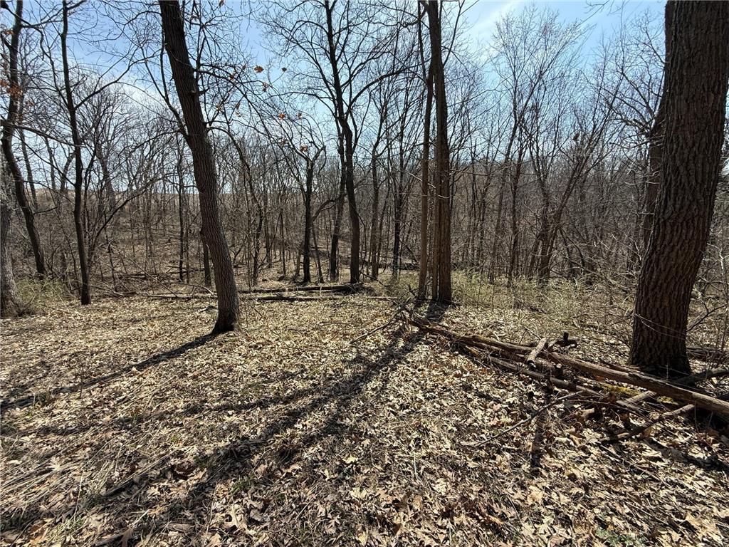 14230 Hillside Road Brownsville MN 55919 7052070 image47