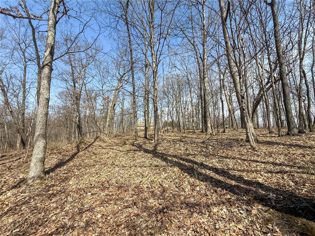 14230 Hillside Road Brownsville MN 55919 7052070 image51
