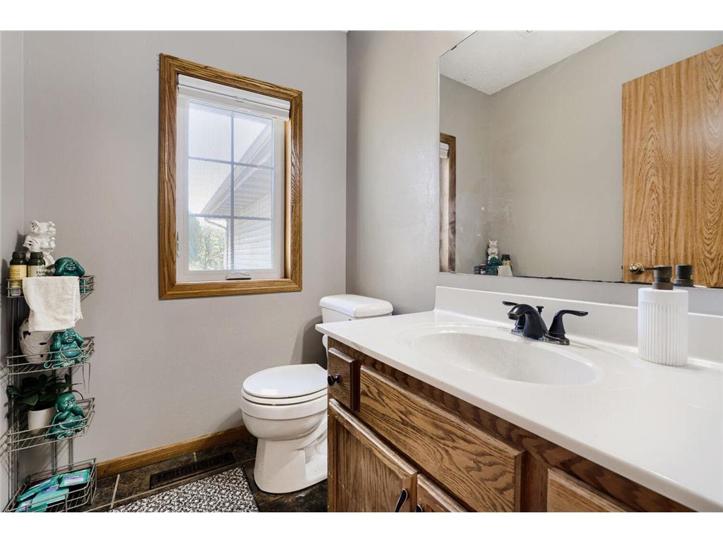 14233 Cobbler Avenue Rosemount MN 55068 7061116 image21