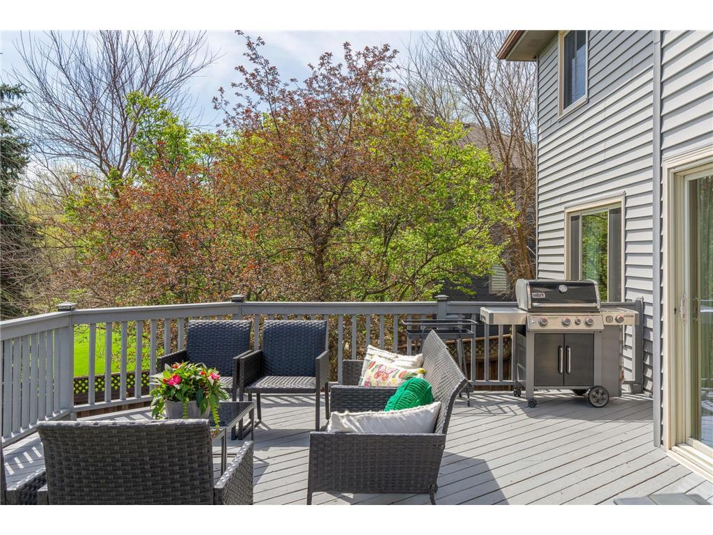 14235 Waco Street NW Ramsey MN 55303 7064192 image35
