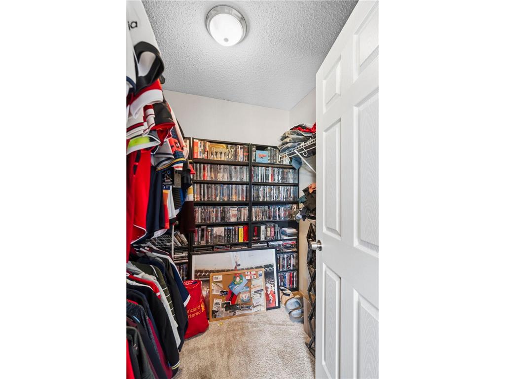 14243 Banyan Lane Rosemount MN 55068 7064398 image28