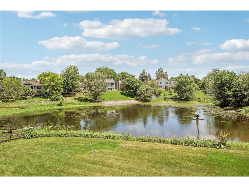 14246 Dearborn Path Rosemount MN 55068 7091503 image5