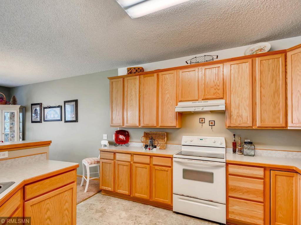 14249 Banyan Lane Rosemount MN 55068 6805744 image15