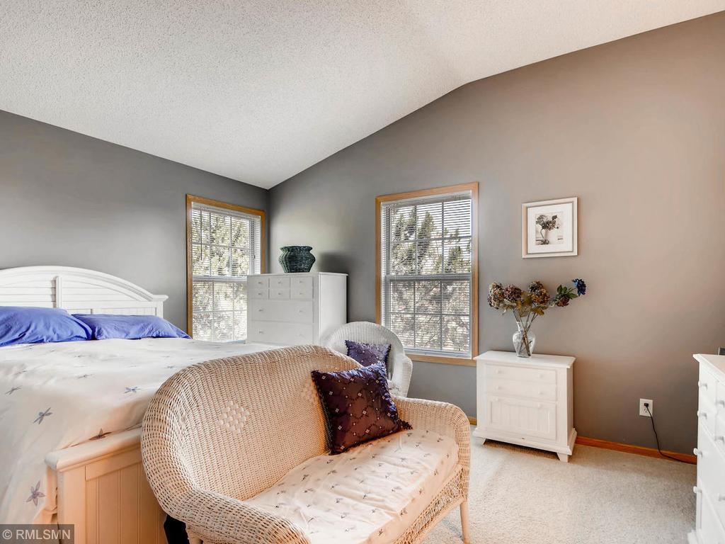 14249 Banyan Lane Rosemount MN 55068 6805744 image17