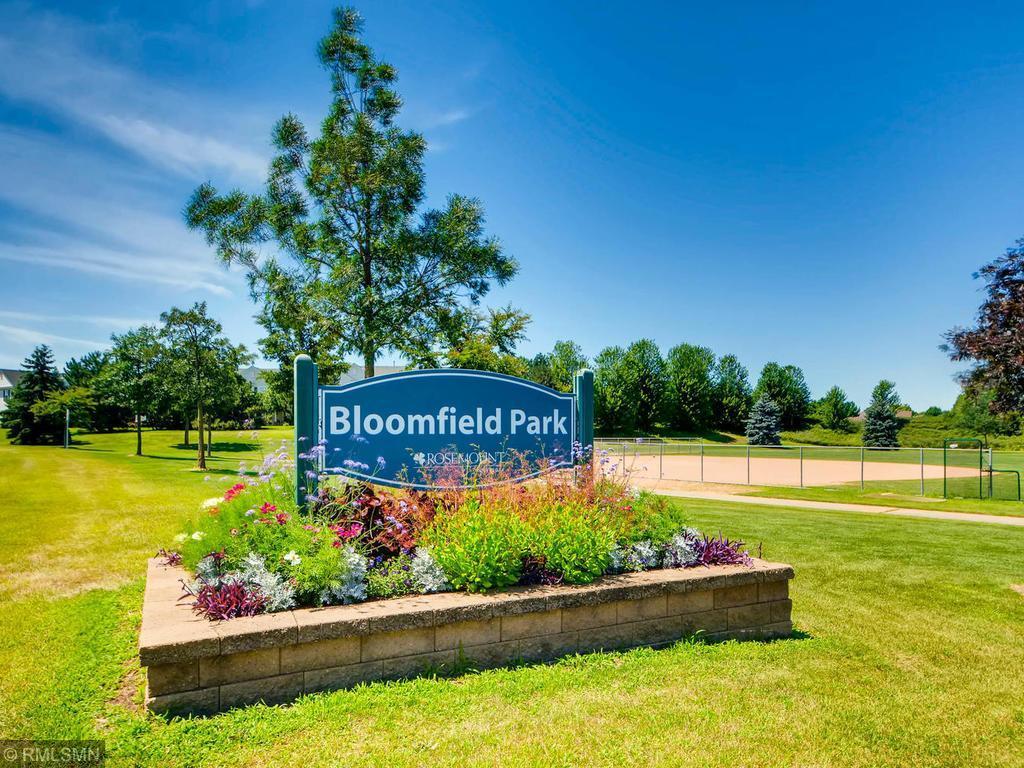 14249 Banyan Lane Rosemount MN 55068 6805744 image27