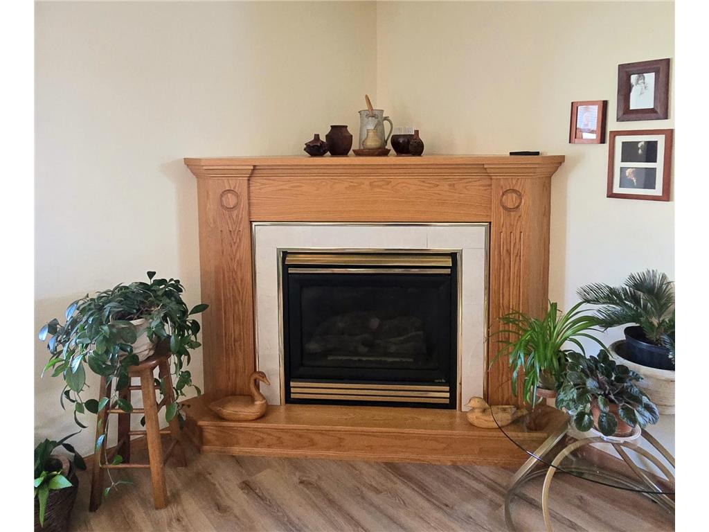 1425 Fairview Lane Little Falls MN 56345 7047649 image4