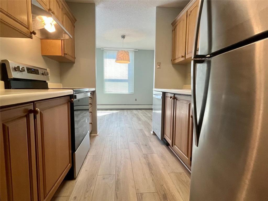 1425 W 28th Street #223 Minneapolis MN 55408 6421674 image1