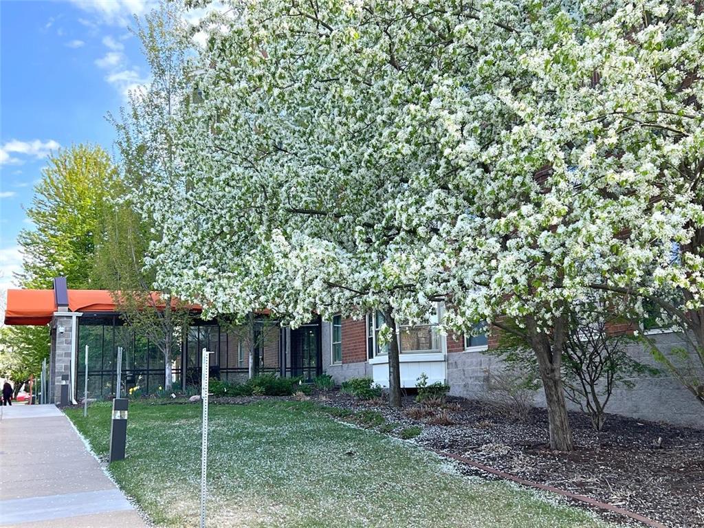 1425 W 28th Street #306 Minneapolis MN 55408 7069755 image15