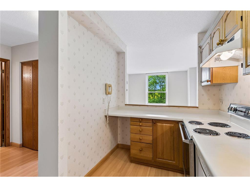 1425 W 28th Street #315 Minneapolis MN 55408 7069827 image4