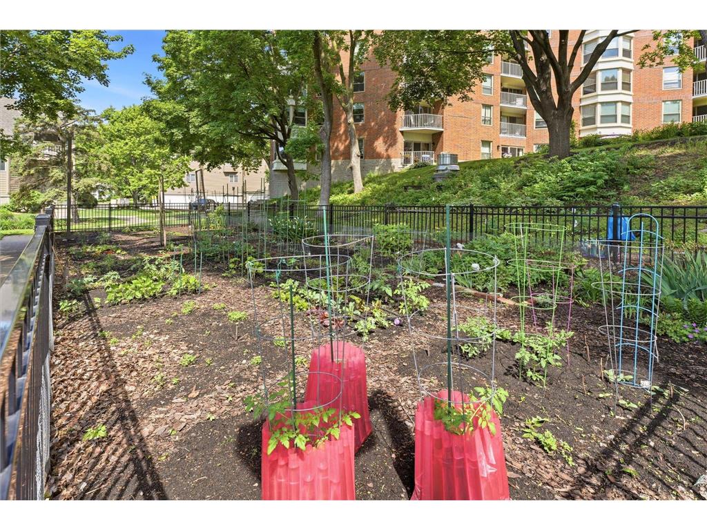 1425 W 28th Street #322 Minneapolis MN 55408 7086934 image48