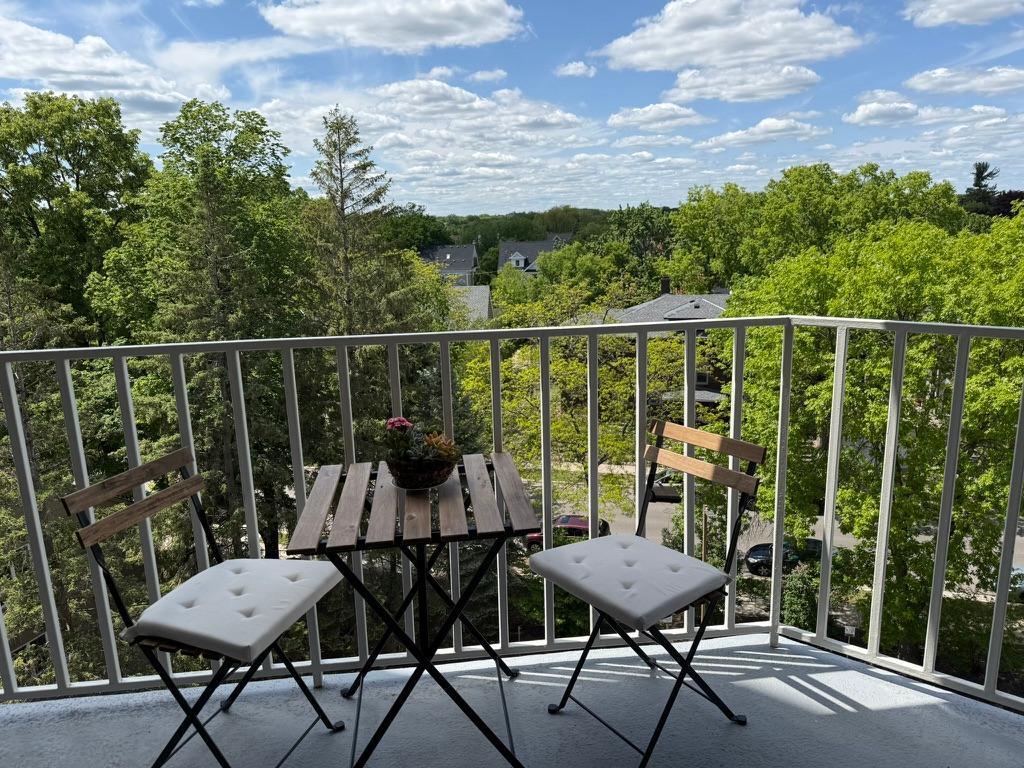 1425 W 28th Street #409 Minneapolis MN 55408 6729634 image14