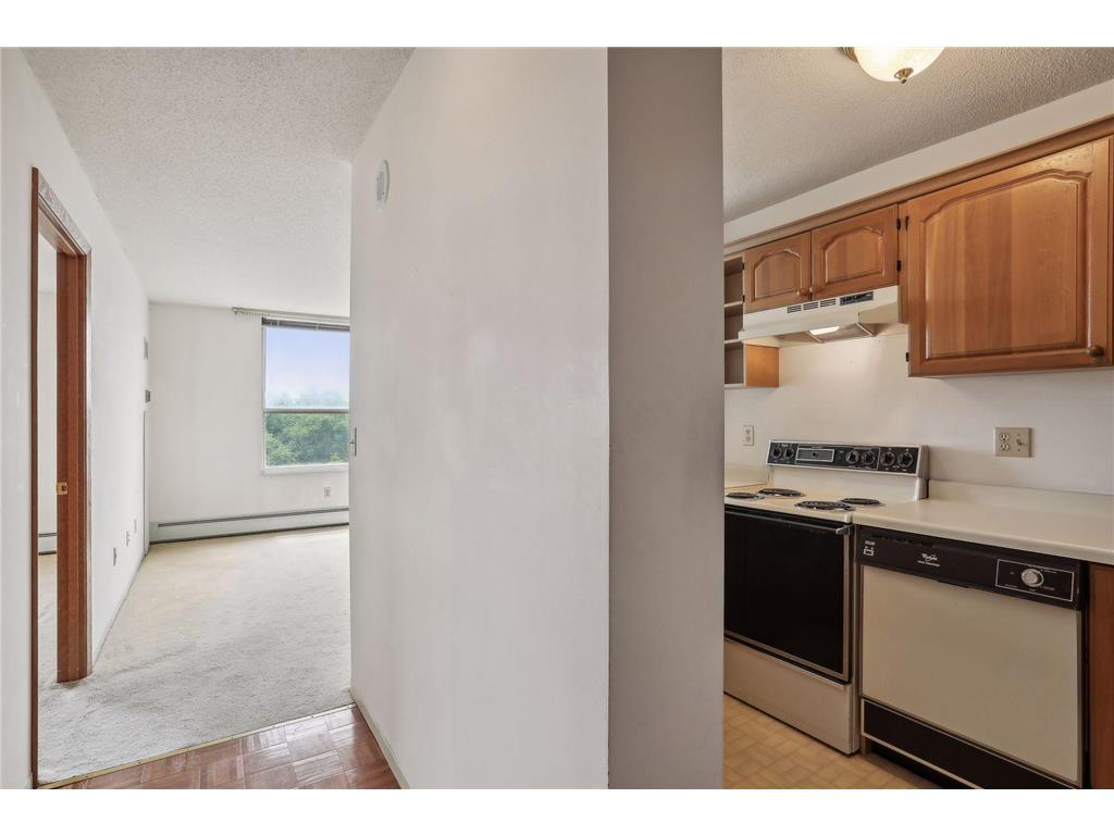 1425 W 28th Street #515 Minneapolis MN 55408 6519353 image1