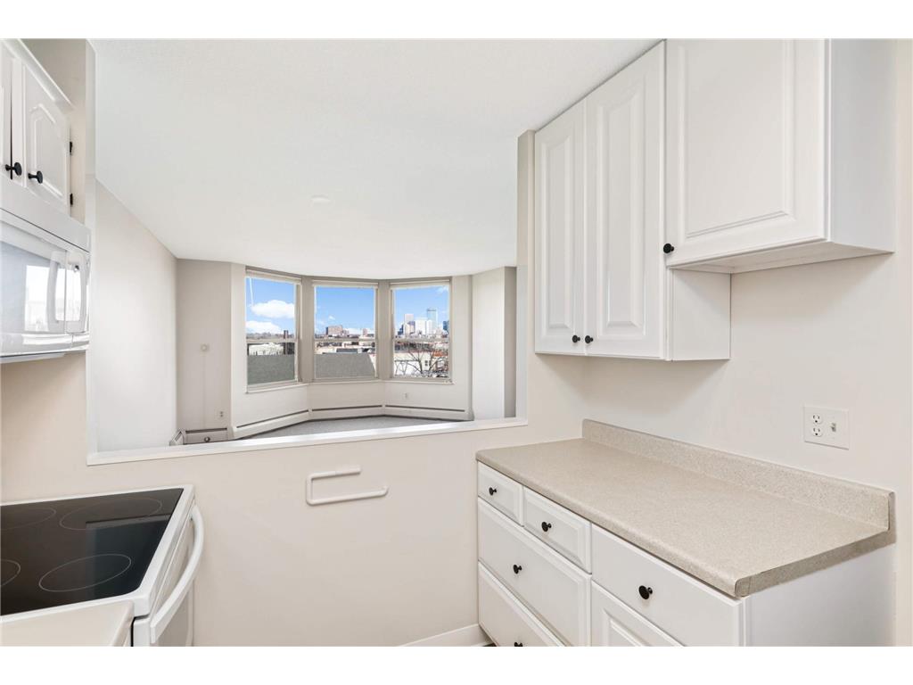 1425 W 28th Street #516 Minneapolis MN 55408 6459270 image1