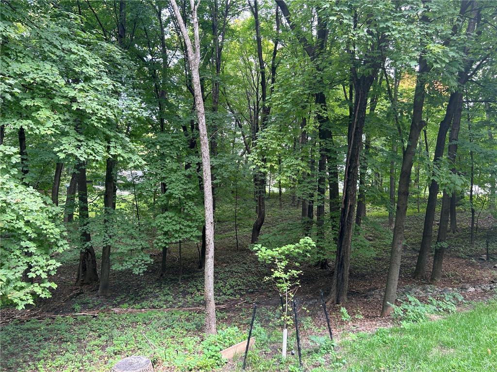 1426 Holdridge Circle Wayzata MN 55391 6791229 image13