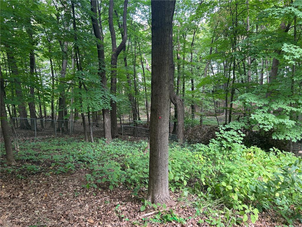 1426 Holdridge Circle Wayzata MN 55391 6791229 image14