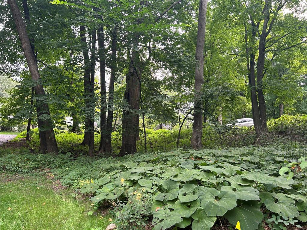 1426 Holdridge Circle Wayzata MN 55391 6791229 image16