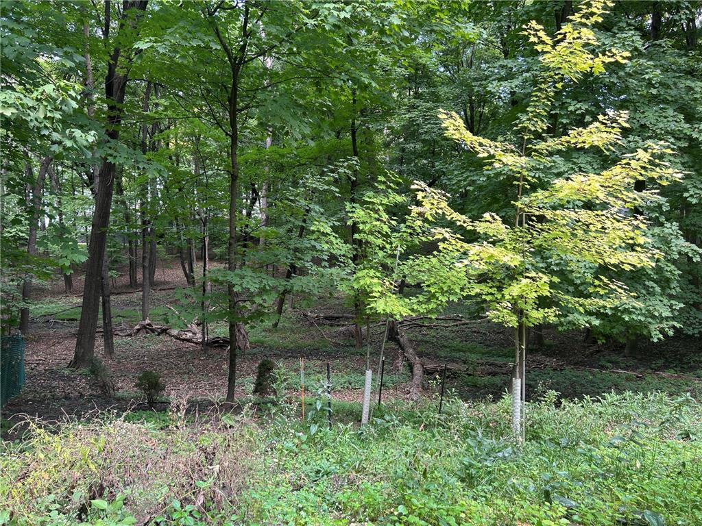 1426 Holdridge Circle Wayzata MN 55391 6791229 image18