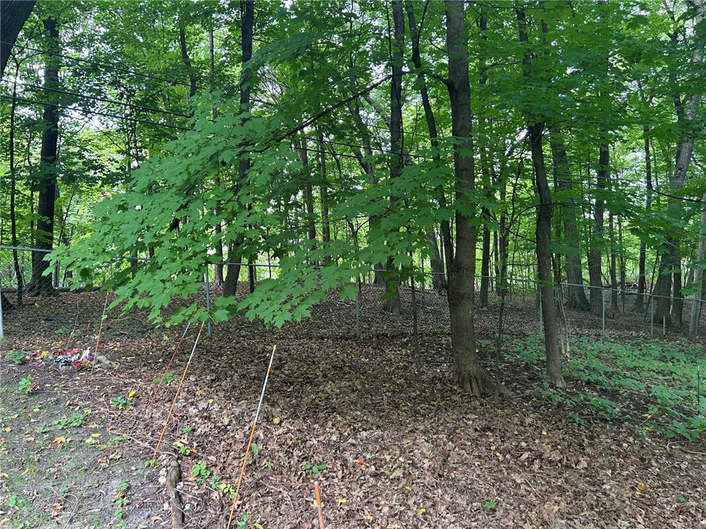 1426 Holdridge Circle Wayzata MN 55391 6791229 image20