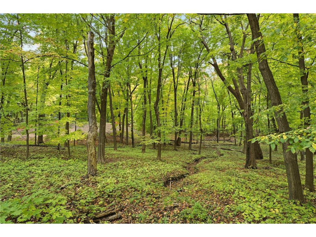 1426 Holdridge Circle Wayzata MN 55391 6791229 image21