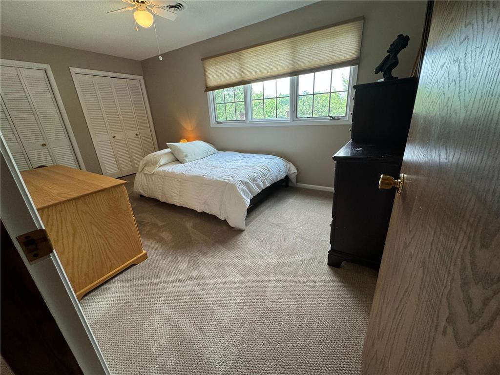 1428 Edgewater Drive Albert Lea MN 56007 - Fountain 6574360 image25