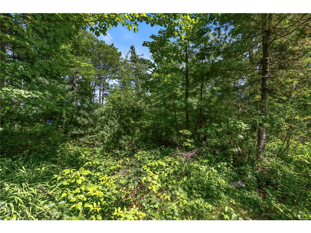 14288W Poplar Lane Bass Lake Twp WI 54843 - Grindstone Lake 6745798 image3